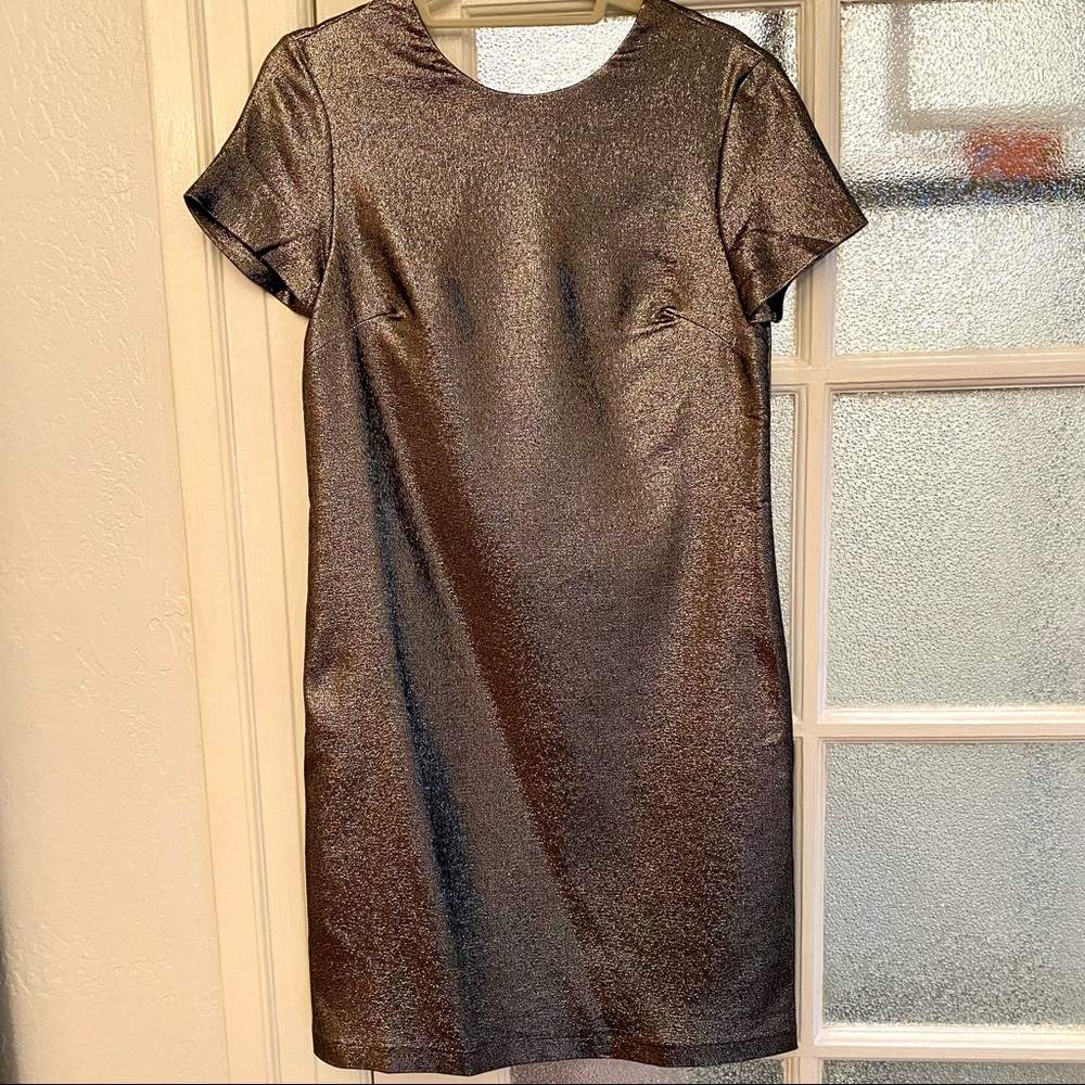 J.McLaughlin Bronze Shimmer Shift Dress